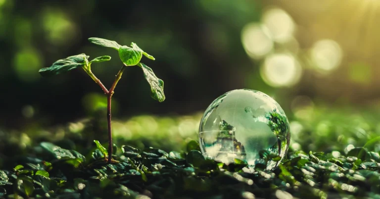 Estrategias para Reducir el Impacto Ambiental sin Afectar el Crecimiento