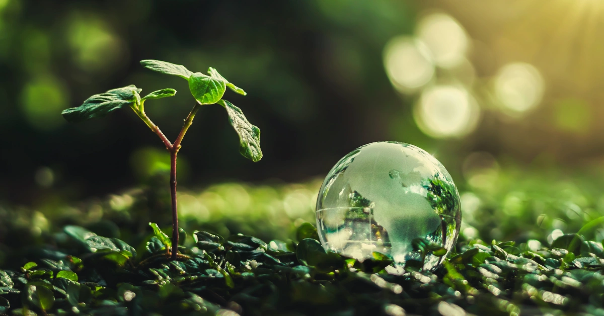 Estrategias para Reducir el Impacto Ambiental sin Afectar el Crecimiento