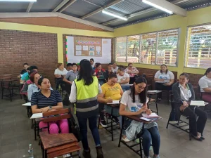 Prociga Consultores