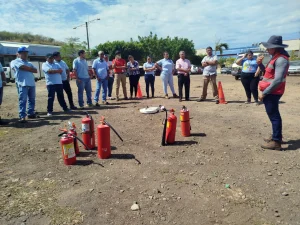 Prociga Consultores